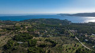 Αγροτεμάχια 2.000 τ.μ. για πώληση