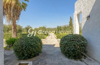 Βίλλα 250 τ.μ. για πώληση, Εύβοια, Ερέτρια-thumb-16
