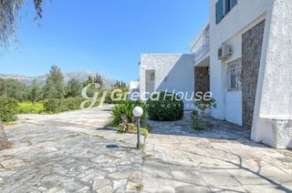 Βίλλα 250 τ.μ. για πώληση, Εύβοια, Ερέτρια-thumb-24