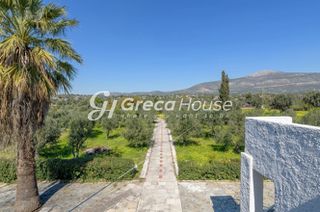 Βίλλα 250 τ.μ. για πώληση, Εύβοια, Ερέτρια-thumb-20