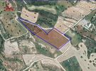 Parcel 12.260sqm for sale-Agios Theodoros Skarinou