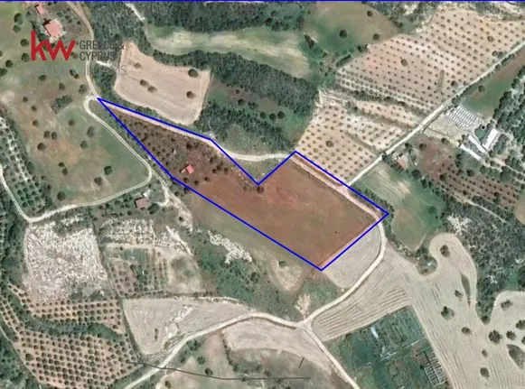 Parcel 12.260 sqm for sale, Larnaca, Agios Theodoros Skarinou