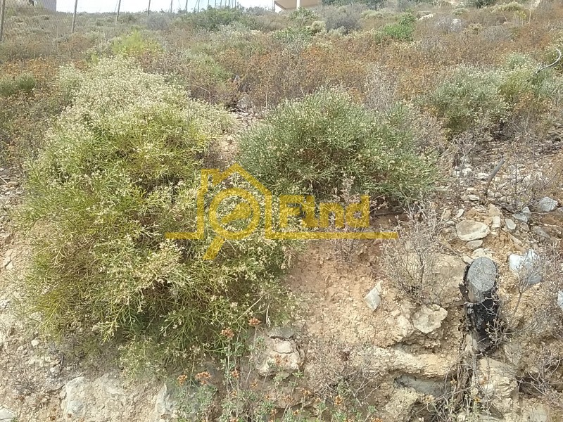 Οικόπεδο 1.080 τ.μ. πρός πώληση, Αθήνα - Ανατολικά Προάστια, Νέα Μάκρη