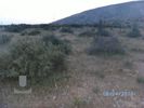 Land plot 3.756sqm for sale-Kalivia Thorikou » Lagonisi