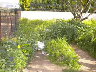 Οικόπεδο 233 τ.μ. πρός πώληση