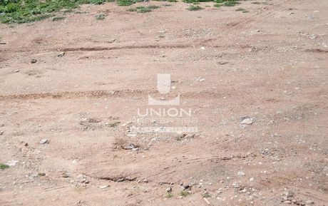Αγροτεμάχια 2.116 τ.μ. για πώληση