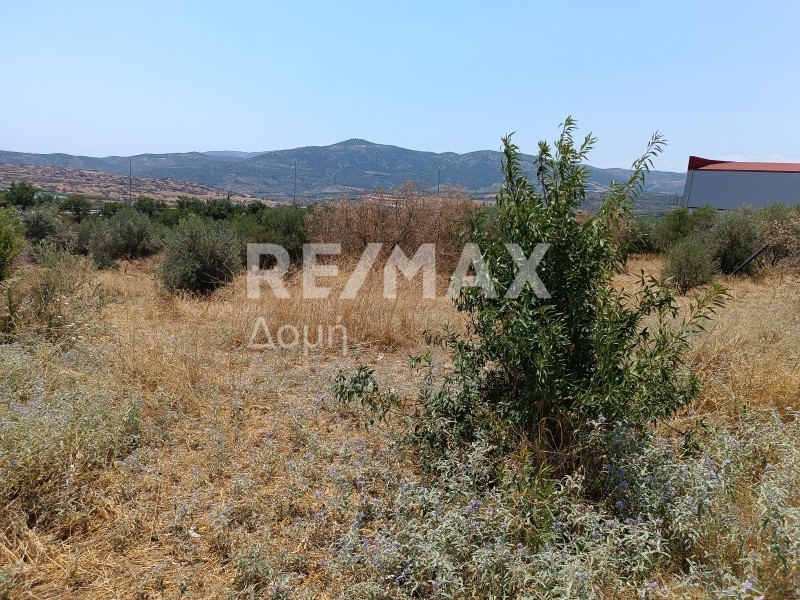 Οικόπεδο 5.400 τ.μ. πρός πώληση, Μαγνησία, Αισωνία