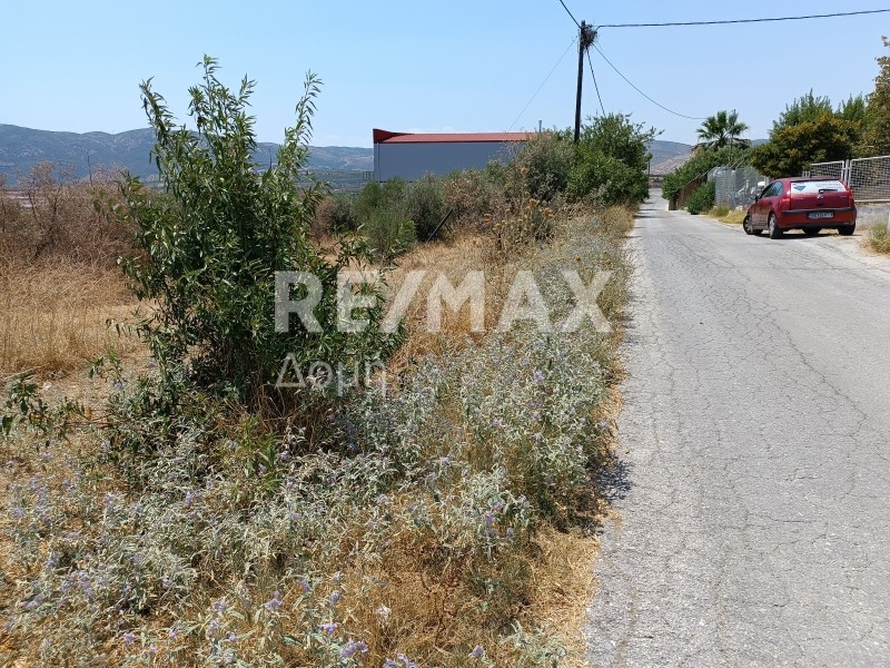 Οικόπεδο 5.400 τ.μ. πρός πώληση, Μαγνησία, Αισωνία