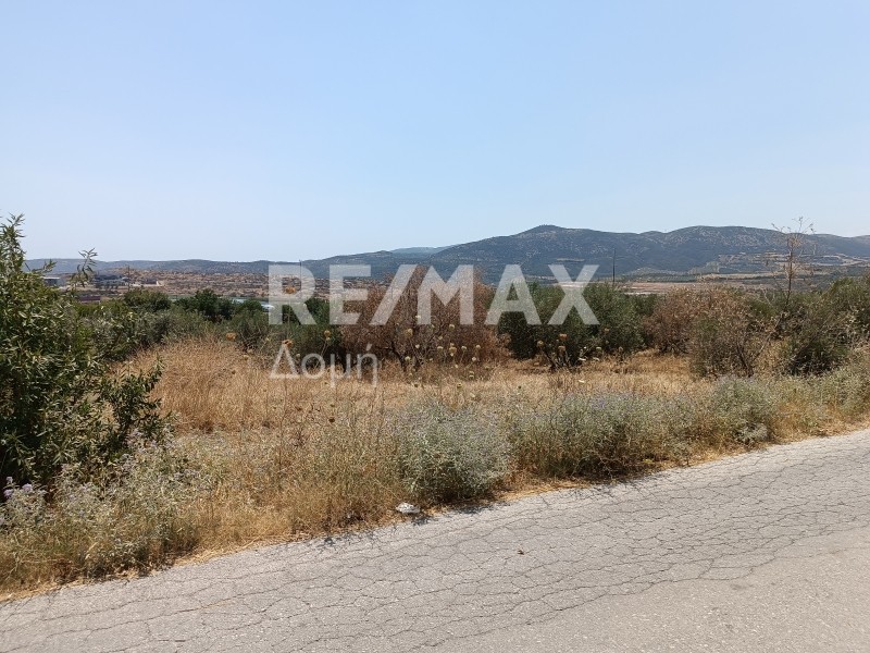 Οικόπεδο 5.400 τ.μ. πρός πώληση, Μαγνησία, Αισωνία