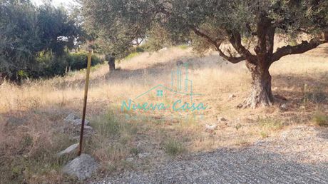 Οικόπεδο 525τ.μ. για πώληση-Πάτρα » Νέο σούλι