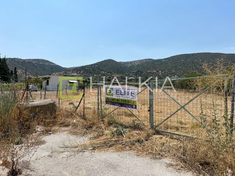 Land plot 4.200 sqm for sale