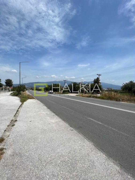 Οικόπεδο 4.200 τ.μ. πρός πώληση, Μαγνησία, Βόλος