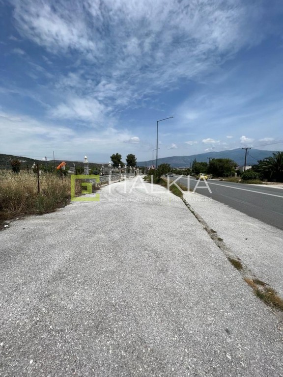 Οικόπεδο 4.200 τ.μ. πρός πώληση, Μαγνησία, Βόλος