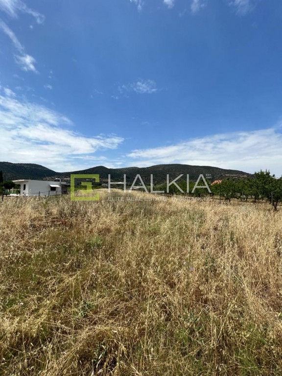 Οικόπεδο 4.200 τ.μ. πρός πώληση, Μαγνησία, Βόλος