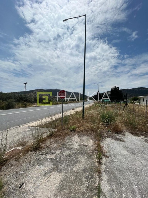 Οικόπεδο 4.200 τ.μ. πρός πώληση, Μαγνησία, Βόλος