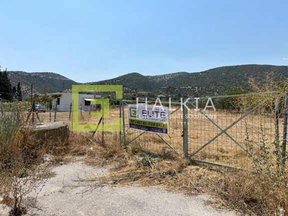 Οικόπεδο 4.200 τ.μ. για πώληση, Μαγνησία, Βόλος