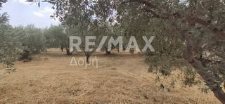 Οικόπεδο 1.968 τ.μ. για πώληση