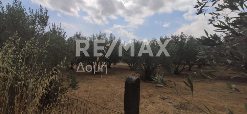 Οικόπεδο 1.968 τ.μ. πρός πώληση, Μαγνησία, Αλμυρός