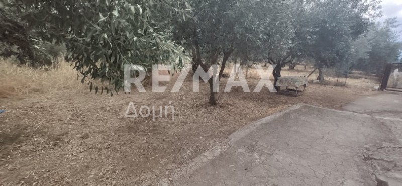 Οικόπεδο 1.968 τ.μ. πρός πώληση, Μαγνησία, Αλμυρός