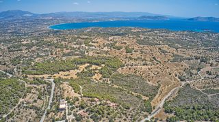 Αγροτεμάχια 124.000 τ.μ. πρός πώληση, Αργολίδα, Κρανίδι-thumb-13