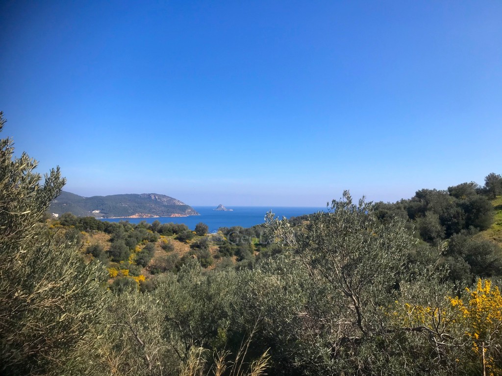 Αγροτεμάχια 11.850 τ.μ. προς πώληση, Κατσαντωναίικα Τροιζήνας