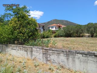 Οικόπεδο 800 τ.μ. πρός πώληση