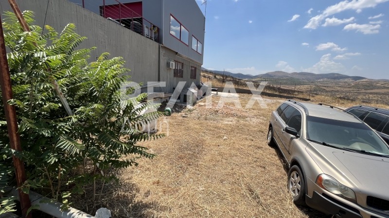 Οικόπεδο 1.500 τ.μ. προς ενοικίαση, Μαγνησία, Αισωνία