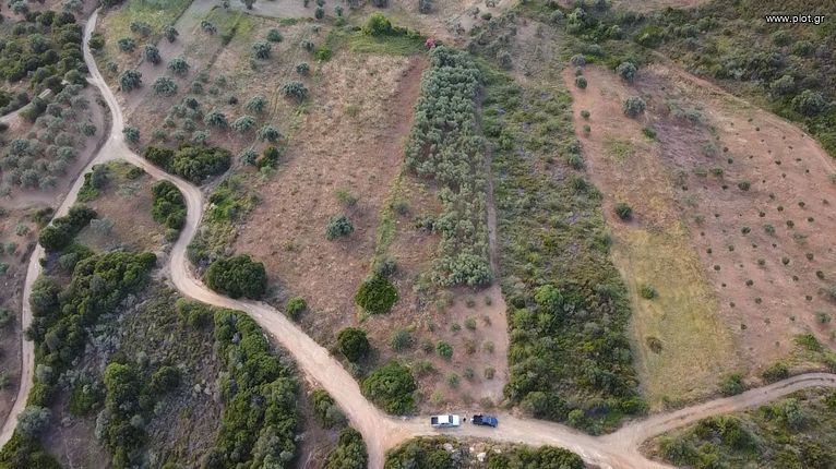 Parcel 2.546 sqm for sale, Evia, Distos