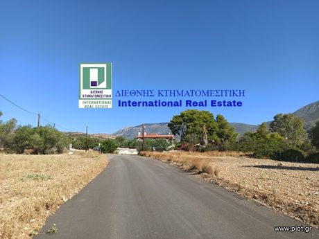 Αγροτεμάχια 2.600 τ.μ. για πώληση