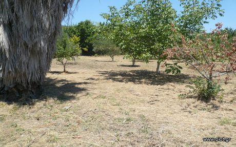 Land plot 1.000sqm for sale-ΕChineon