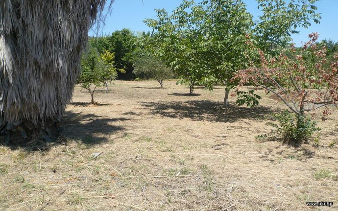 Οικόπεδο 1.000 τ.μ. για πώληση, Φθιώτιδας, Εχιναίων