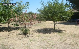 Οικόπεδο 1.000 τ.μ. για πώληση, Φθιώτιδας, Εχιναίων-thumb-1