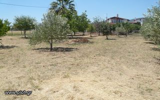 Οικόπεδο 1.000 τ.μ. για πώληση, Φθιώτιδας, Εχιναίων-thumb-3
