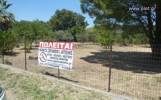 Οικόπεδο 1.000 τ.μ. για πώληση, Φθιώτιδας, Εχιναίων-thumb-4