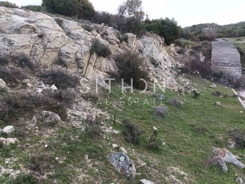 Οικόπεδο 500 τ.μ. προς πώληση, Σκάλα Συκέας