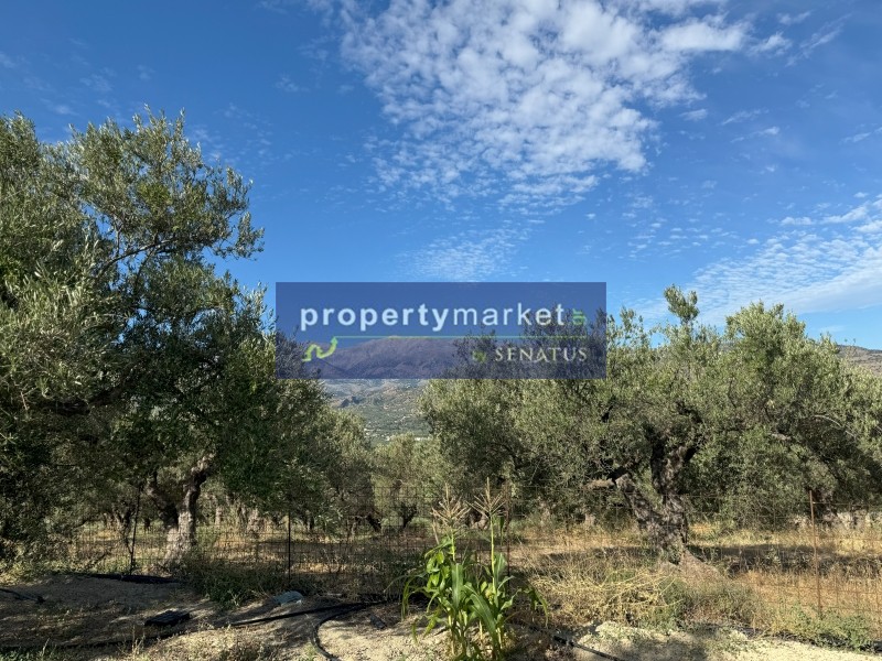 Οικόπεδο 16.455 τ.μ. προς πώληση, Καλύβες Αρμενών