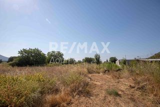 Οικόπεδο 1.069 τ.μ. προς πώληση, Αγία Τριάδα Σούρπης-thumb-5