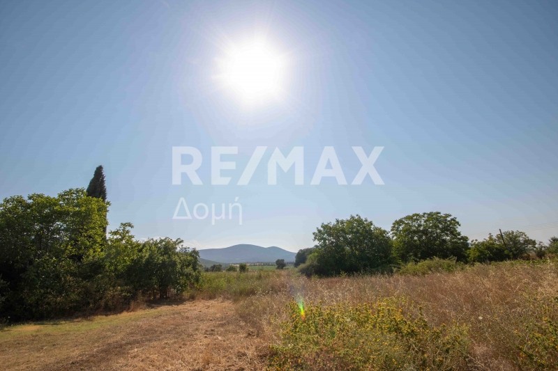 Οικόπεδο 1.069 τ.μ. πρός πώληση, Μαγνησία, Σούρπη