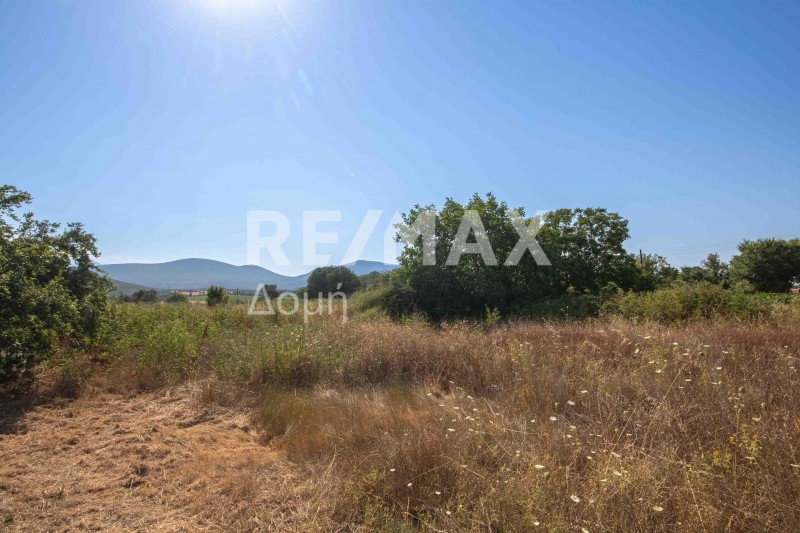 Οικόπεδο 1.069 τ.μ. πρός πώληση, Μαγνησία, Σούρπη