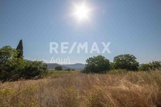 Οικόπεδο 1.069 τ.μ. προς πώληση, Αγία Τριάδα Σούρπης-thumb-6