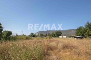 Οικόπεδο 1.069 τ.μ. προς πώληση, Αγία Τριάδα Σούρπης-thumb-11