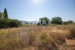 Οικόπεδο 1.069 τ.μ. προς πώληση, Αγία Τριάδα Σούρπης-thumb-9