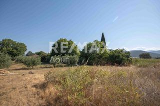 Οικόπεδο 1.069 τ.μ. προς πώληση, Αγία Τριάδα Σούρπης-thumb-8