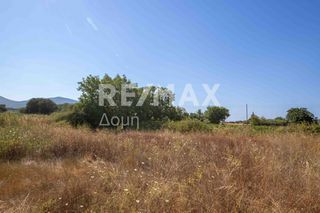 Οικόπεδο 1.069 τ.μ. προς πώληση, Αγία Τριάδα Σούρπης-thumb-14