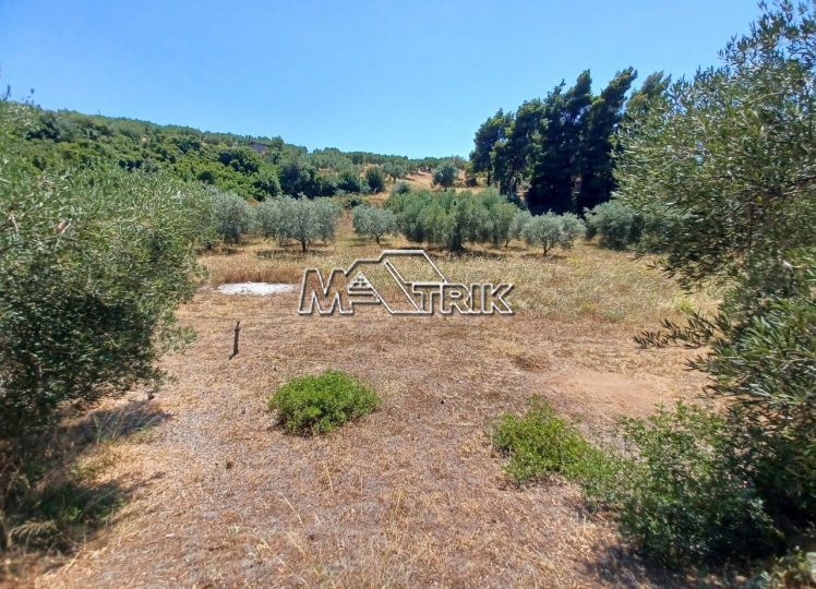 Αγροτεμάχια 1.371 τ.μ. προς πώληση, Νέος Μαρμαράς