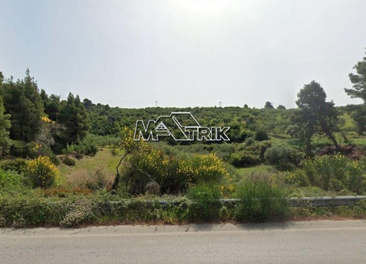 Αγροτεμάχια 1.371 τ.μ. προς πώληση, Νέος Μαρμαράς