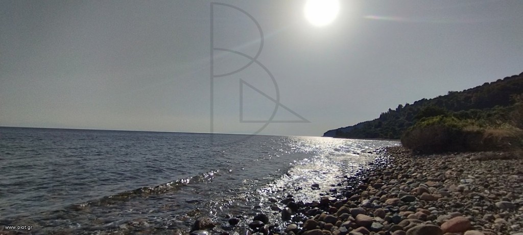 Αγροτεμάχια 4.718 τ.μ. πρός πώληση, Χαλκιδική, Παλλήνη