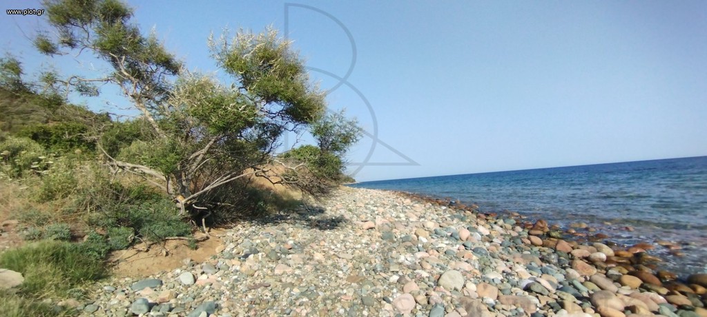 Αγροτεμάχια 4.718 τ.μ. πρός πώληση, Χαλκιδική, Παλλήνη