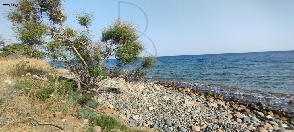 Αγροτεμάχια 4.718 τ.μ. πρός πώληση, Χαλκιδική, Παλλήνη