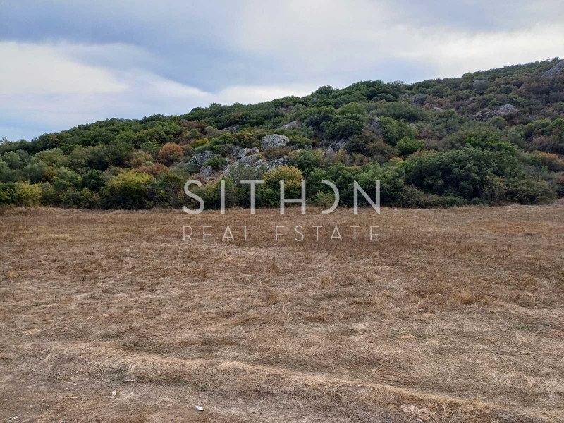 Αγροτεμάχια 2.392 τ.μ. προς πώληση, Συκιά Τορώνης